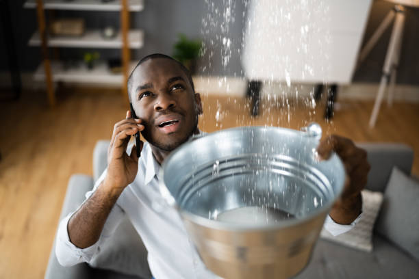 Best Flood damage cleanup  in Neodesha, KS