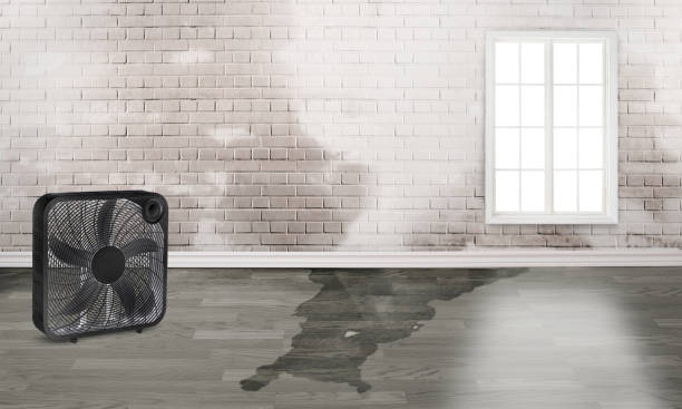 Best Commercial water damage restoration  in Neodesha, KS