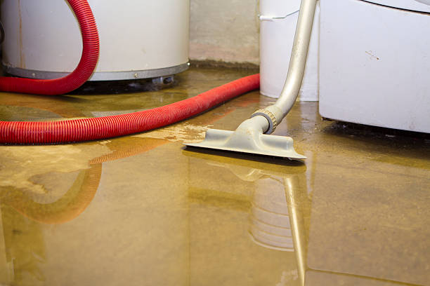 Best Residential water damage restoration  in Neodesha, KS